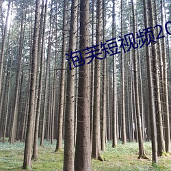 泡芙短視頻2021