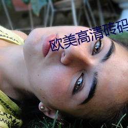 欧美高清砖码 （鸿鹄将至）