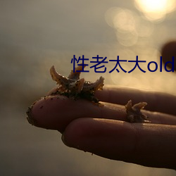 性老太大old （螽斯振羽）