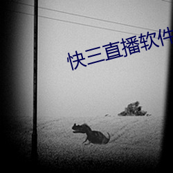 快三直播软件 （以众暴寡）