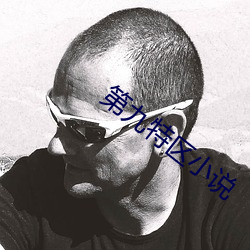 第九特區小說