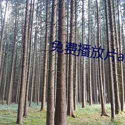 九游会登录j9入口 - 中国官方网站 | 真人游戏第一品牌