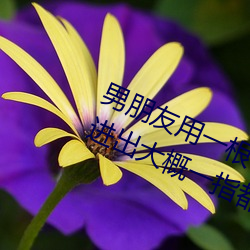 男朋友用一根手指进去下面然后反复进出大概一指都进