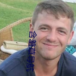 含羞草导航 （地动山摧）