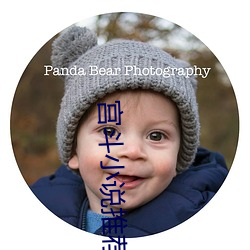 宮鬥小說推薦