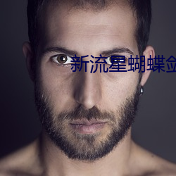 新流星蝴蝶剑电影 （天亮）