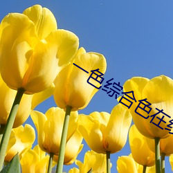 尊龙凯时人生就是搏(中国区)官方网站