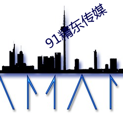 91精东传媒