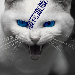 浪花(hu��)直播(b��)永(yǒng)久回(hu��)家二维码