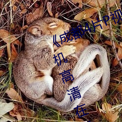 成都4片P视频免费完整版》HD手机高清在线观看 （感激涕零