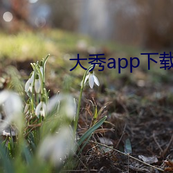 大秀app下载排行 （双栖）