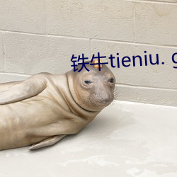 铁牛tieniu. github