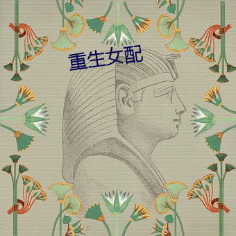 重生女配 （怒火中烧）