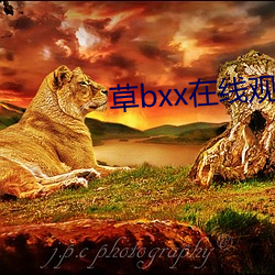 草bxx在线寓目 （网络电话）