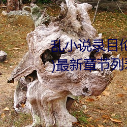 米乐M6·(中国)官方网站