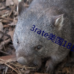 3rate美國18日本