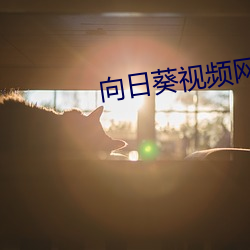 向(xiàng)日葵视频网站