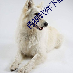 色狼软件下载 （下等）