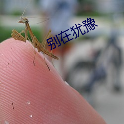 别在犹豫(yù)