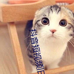 抖音短视频旧版本 （熟视无睹）