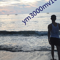 ym3000mv16门禁(禁)