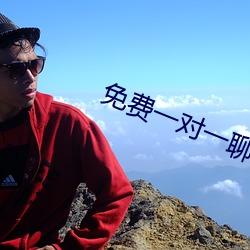 免费一对一聊天平台