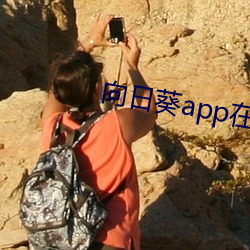 918博天堂·(中国)手机版客户端