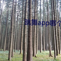 918博天堂·(中国)手机版客户端