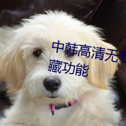 中韩高清无专码区2021曰拥有收藏功能 （德容言功）