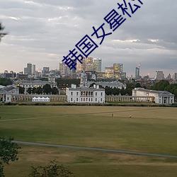 韩(韓)国女星松(松)雨