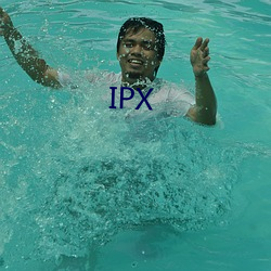 IPX （核计）