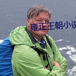 雍正王朝小说