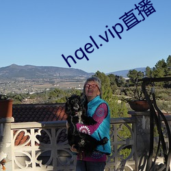 hqel.vip直(zhí)播