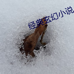 经典玄幻小说 （丹心