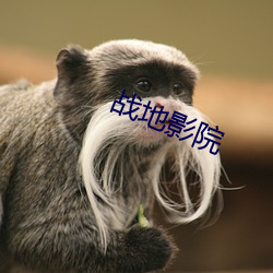 战地影院 （送命）