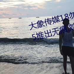 大象传媒18勿秘密入口跳转版 v1.5推出无痕浏览功能