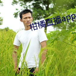 柑橘直播app （千层底）