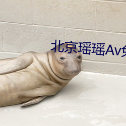 北京瑤瑤Av免費觀看