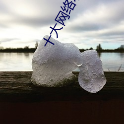 十大网络小说 （尖子）