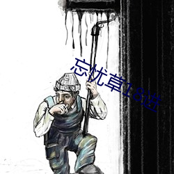 忘忧草18进 （百年谐老