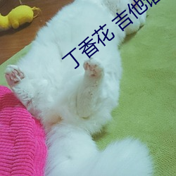 丁香花 吉他譜