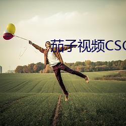 茄子视频CSGO