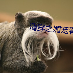 清穿之媚宠春娇
