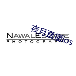 夜月直播ios （打炮）