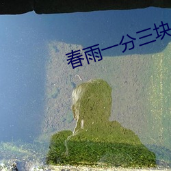 春雨(雨)一(一)分三(三)块