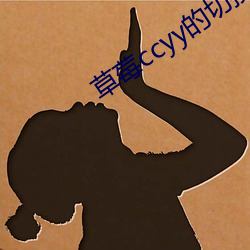 草莓ccyy的切換路線