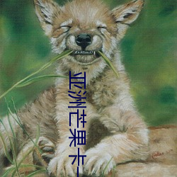 亚洲芒(mng)果(gu)卡(kǎ)一卡二卡三(sn)乱码