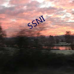 SSNI