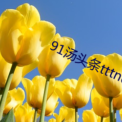 91汤头(頭)条(條)tttnew