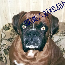 欧美人妖极品hd 温驯）